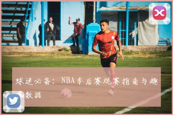 球迷必备：NBA季后赛观赛指南与趣味数据